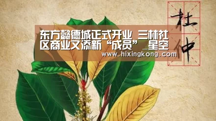 东方懿德城正式开业 三林社区商业又添新“成员”_星空电竞(图2) 星空百家乐