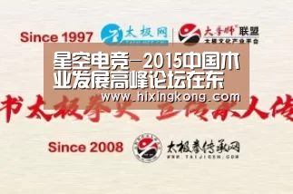 星空电竞-2015中国木业发展高峰论坛在东阿成功举行(图2) 星空平台