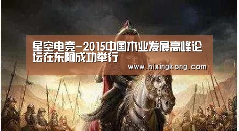 星空电竞-2015中国木业发展高峰论坛在东阿成功举行(图3) 星空下载